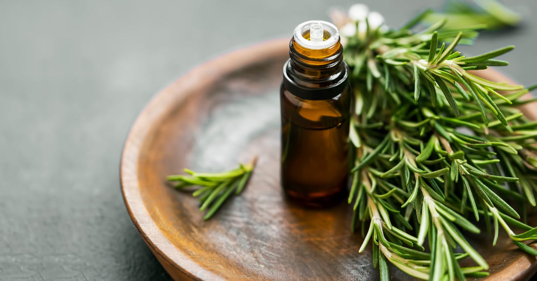 Oil bottle with fresh rosemary placed on a wooden tray