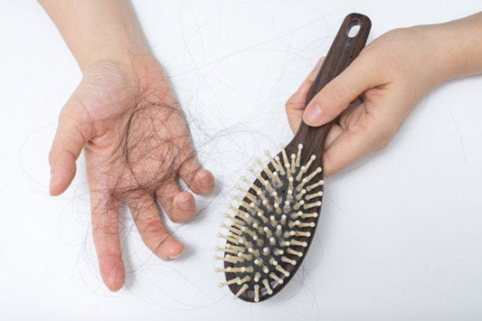 A pair of hands holding a hair brush and hair strands