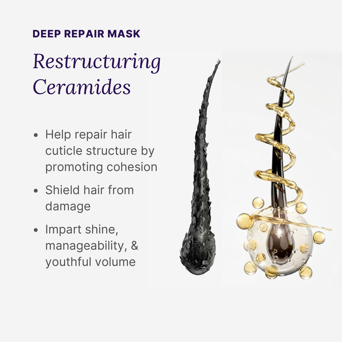 Deep Hydration Haircare Set